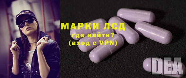 индика Зерноград