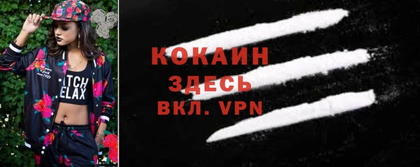 индика Зерноград