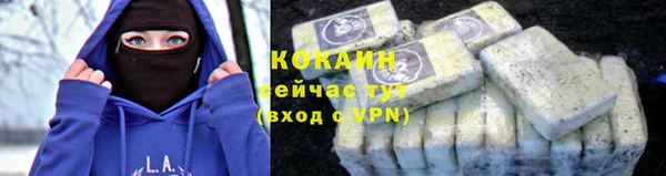 прущие крисы Зеленодольск