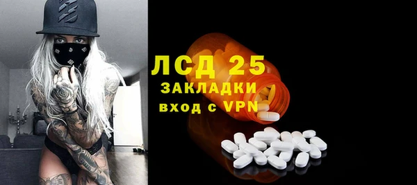 индика Зерноград