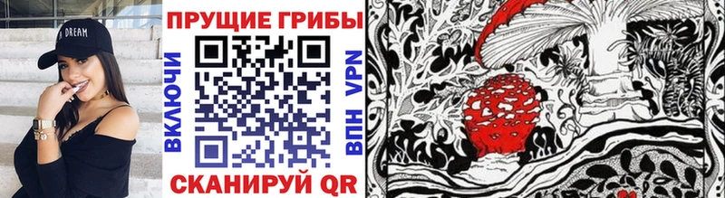 Купить закладки  Княгинино  Псилоцибиновые грибы GOLDEN TEACHER 